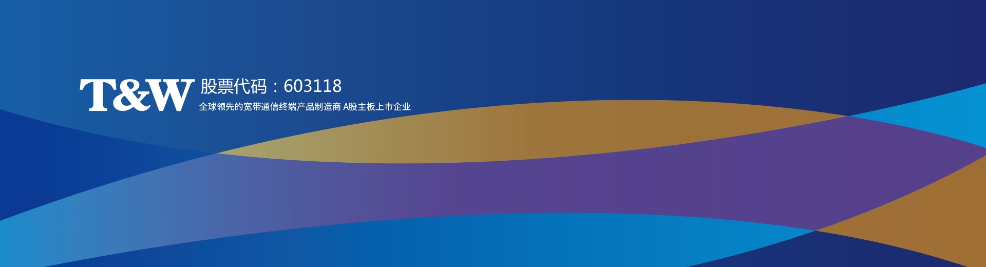 TW共进